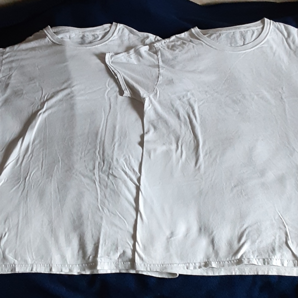 2 Fruit of the Loom shirts (size M)
